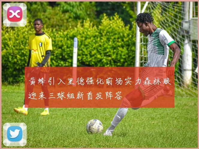 黄蜂引入里德强化前场实力森林狼迎来三球组新首发阵容